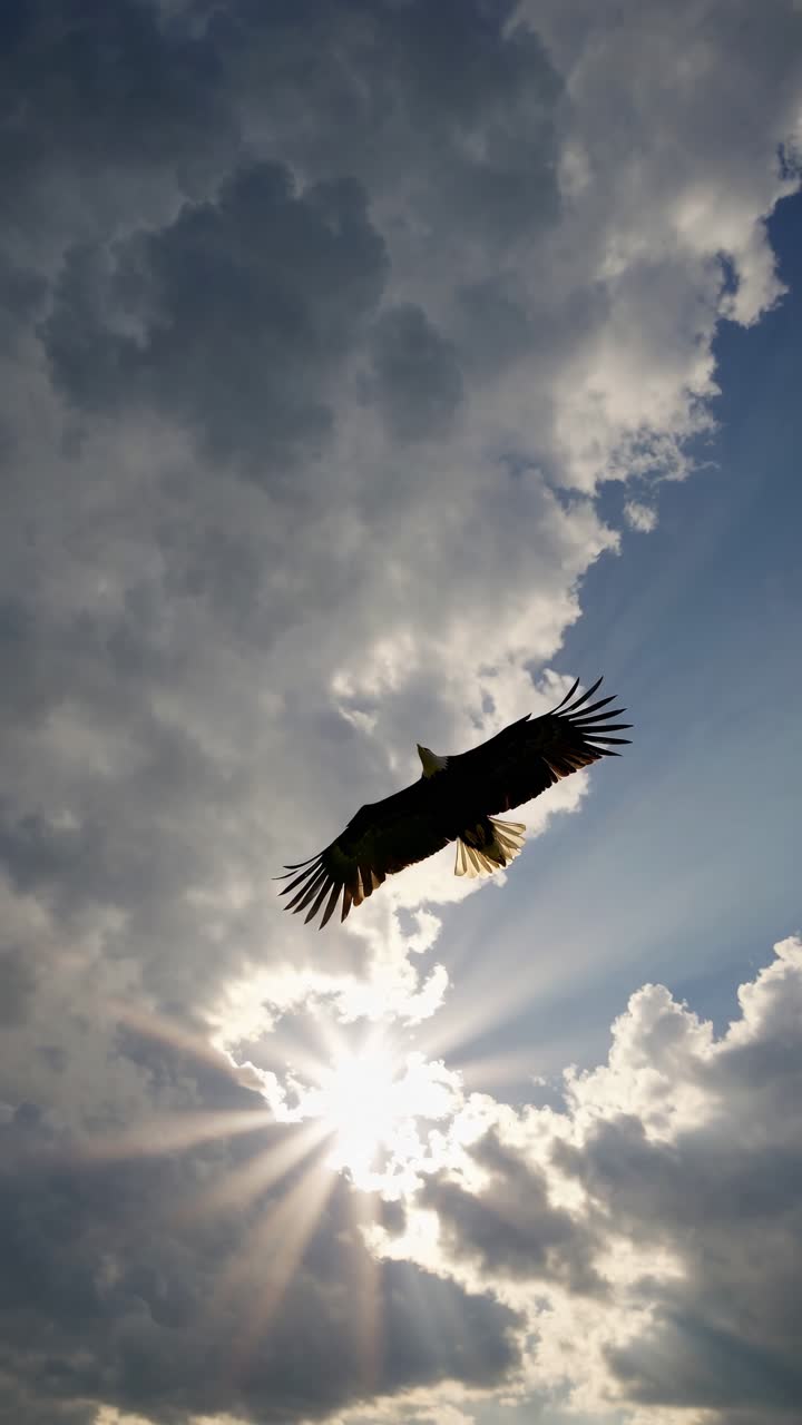 Dramatic low-angle shot of an eagle soaring against a cloudy sky with sun rays