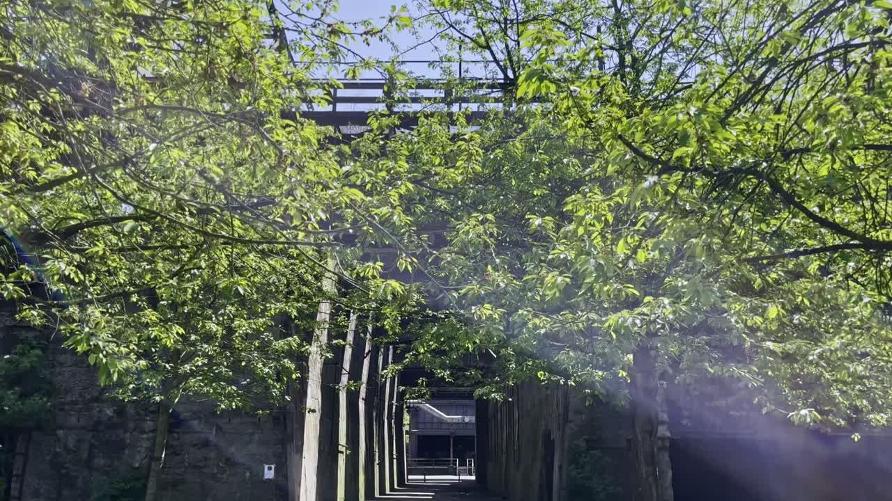 좋은 날씨에 duisburg 풍경 공원의 자연과 역사적 유적 사이의 아름다운 길