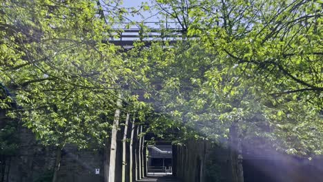 Schöner-Weg-Zwischen-Natur-Und-Historischen-Überresten-Des-Duisburger-Landschaftsparks-Bei-Gutem-Wetter