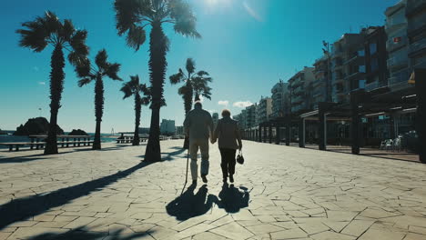 elderly couple walking on seafront promenade. back view senior couple