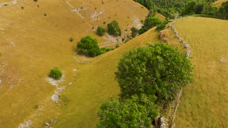 Aerial-view-flying-over-trees-in-rolling-yellow-English-Peak-district-valley-countryside