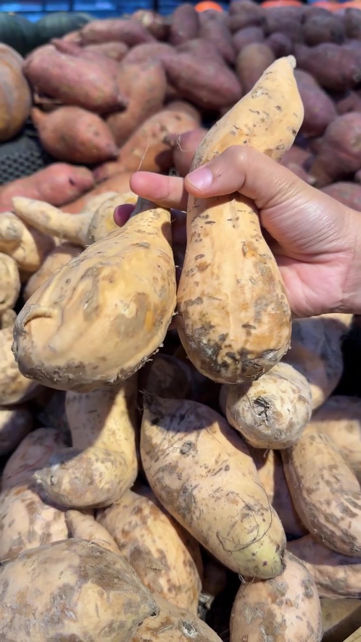 Persona che seleziona patate dolci fresche in un negozio di alimentari.