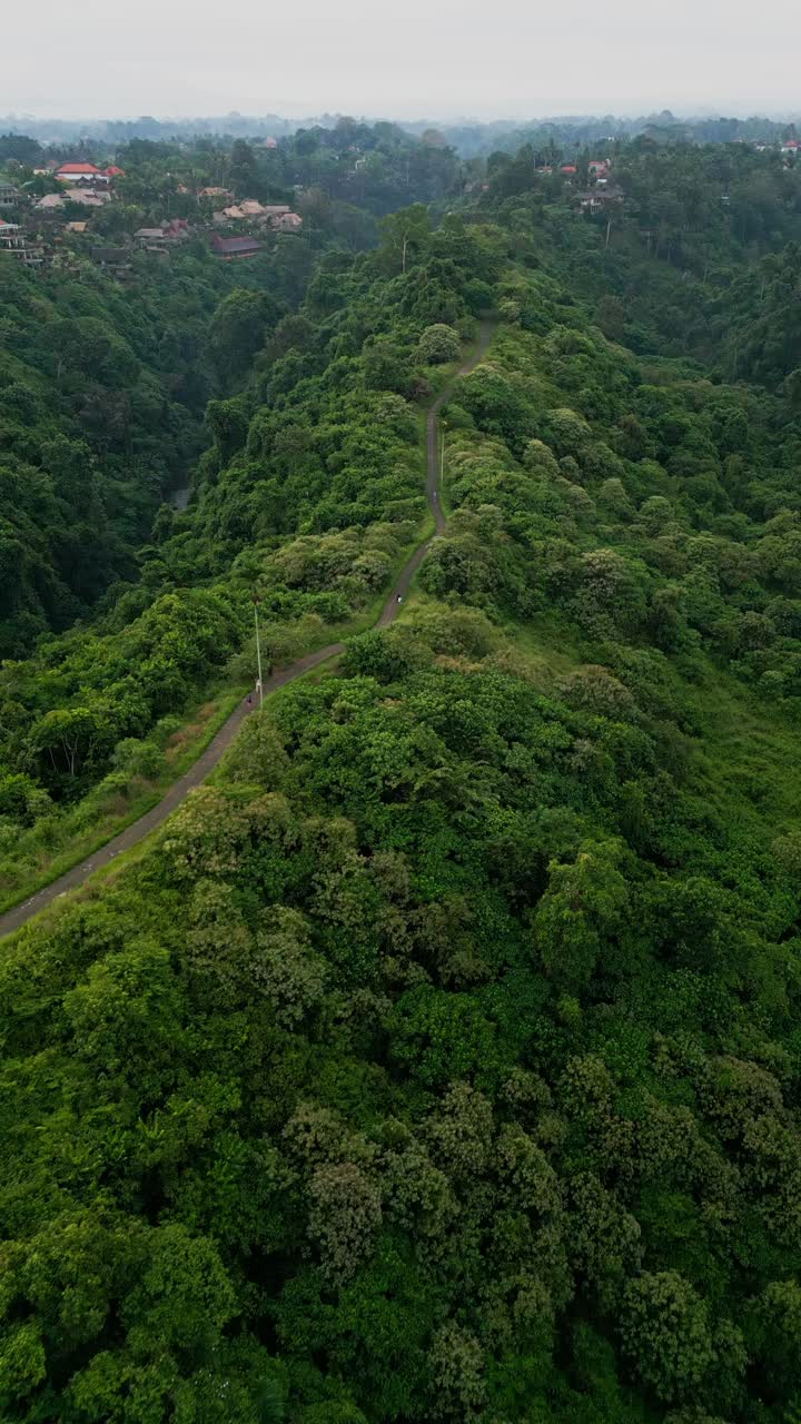 Early morning vertical footage of Campuhan Ridge Walk showcases rolling green hills, winding trails, and a tranquil Bali atmosphere surrounded by tropical vegetation and fresh mountain air
