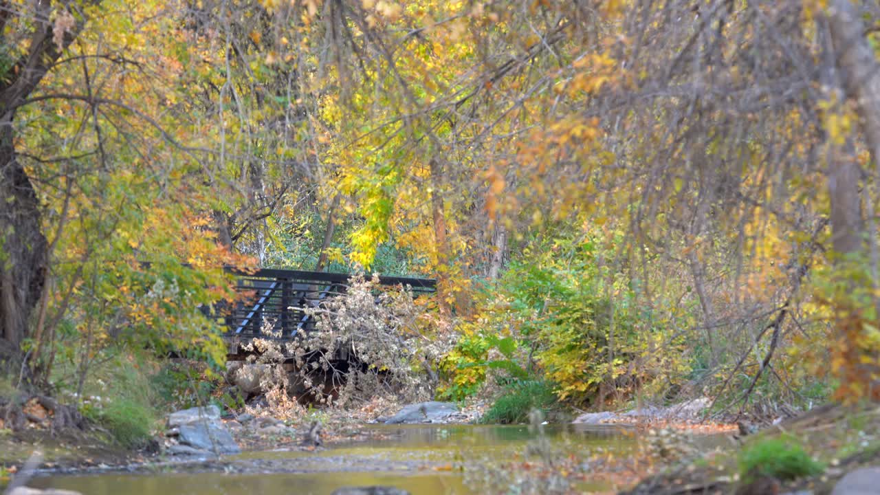andar en bicicleta en el camino de boulder creek, boulder, co