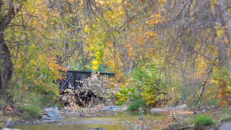 Andar-En-Bicicleta-En-El-Camino-De-Boulder-Creek,-Boulder,-Co