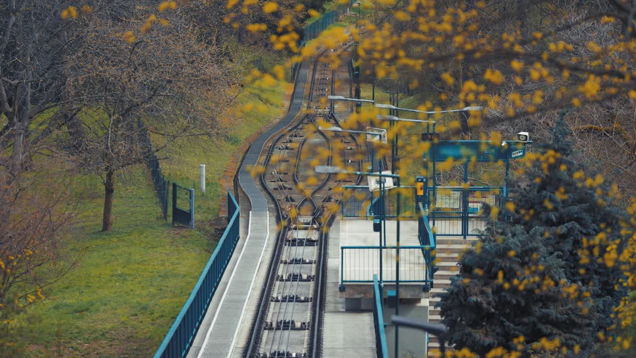 나무 들 에  ⁇ 여 있는 프라하 의 페트린 언덕 공원 에 있는 케이블카 철도