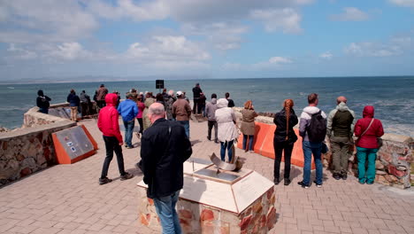 tourists in whale season do ecotourism whale watching from gearings in hermanus