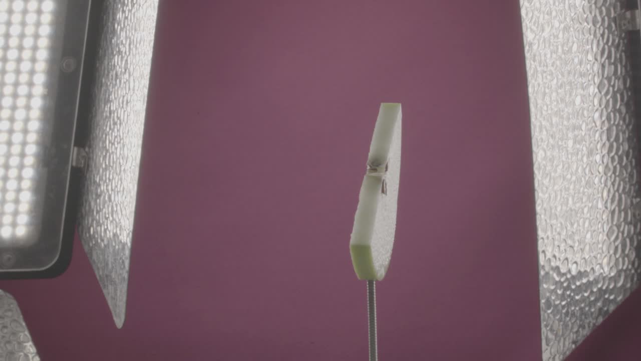 manzana girando con bucle en la pantalla de fucsia para la llave de croma