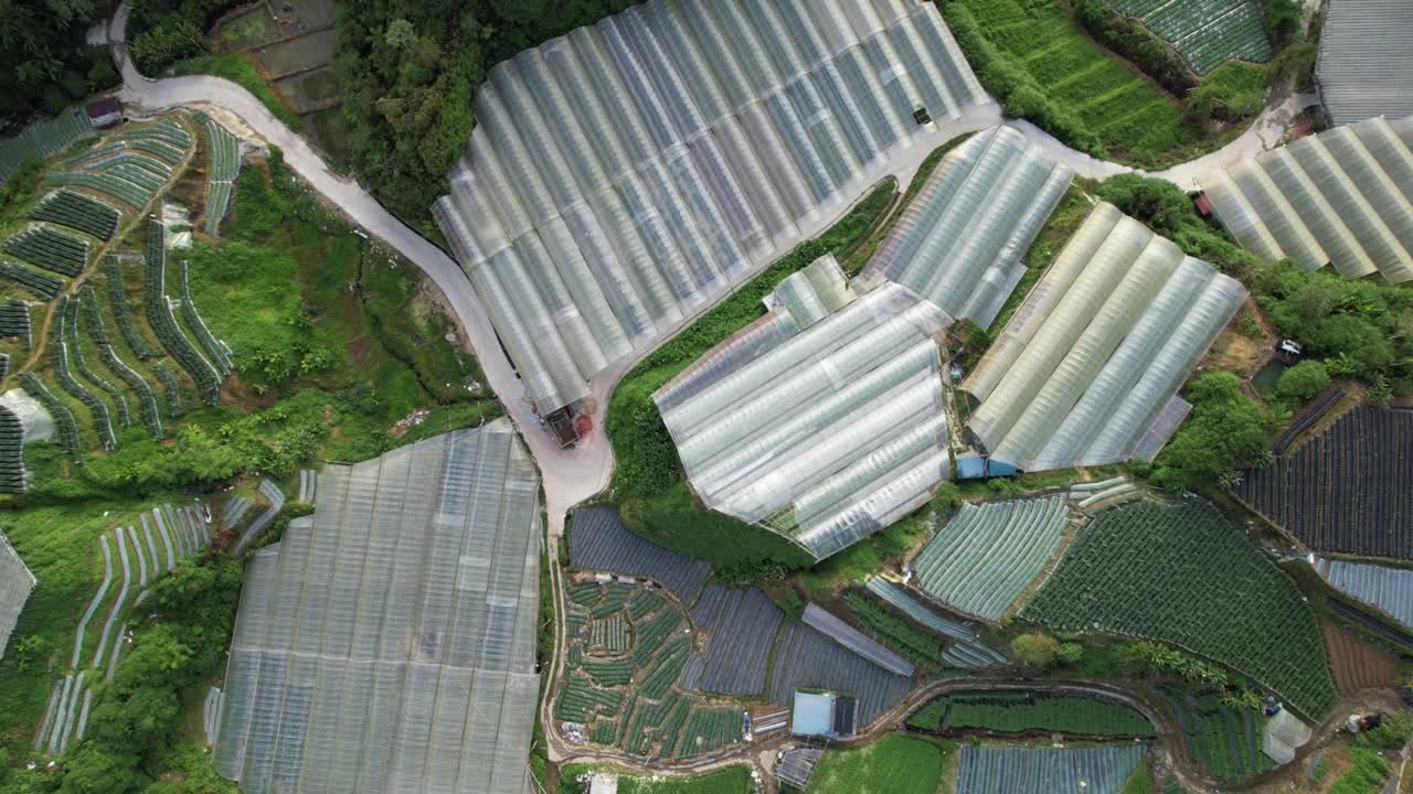 말레이시아의 카메론 하이랜드 지역 내의 브린창 지역의 일반 풍경