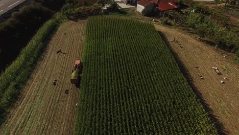 Campo-De-Cultivo-Del-Tractor-En-Springaerial-View-02