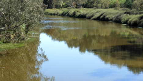 bridge view of the barwon river geelong, victoria, australia