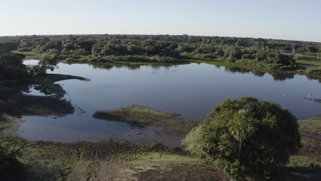 aerial of a lake in wild pantanal