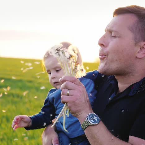 young father playing with his son - blowing on dandelions