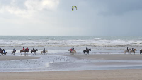 kitesurf y paseos a caballo en la playa en una pista de día ventoso
