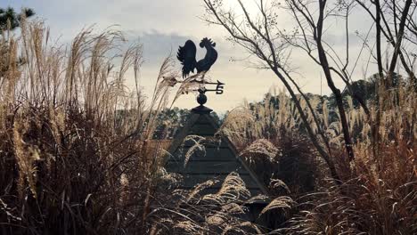 a serene video shows a rooster weather vane in a peaceful field this tranquil video features a picturesque weather vane with a rooster in a serene field of tall grass capturing rural charm and simplicity