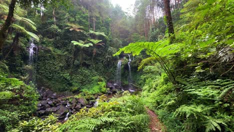 scene of two waterfalls in the middle of a tropical rainforest