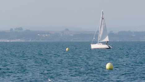 a sailboat drives by on a lake