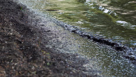 Silty-dirty-water-waves-splashing-on-lake-river-pond-bank