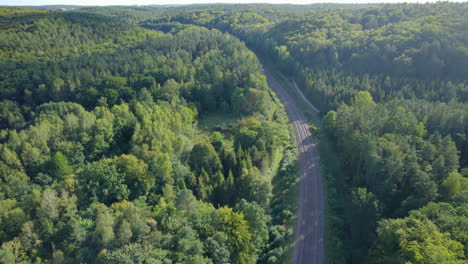 volando a lo largo de la curva de las vías del tren a través del bosque verde, aéreo