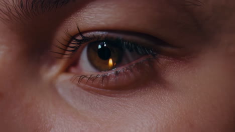 primer plano del ojo de una mujer.