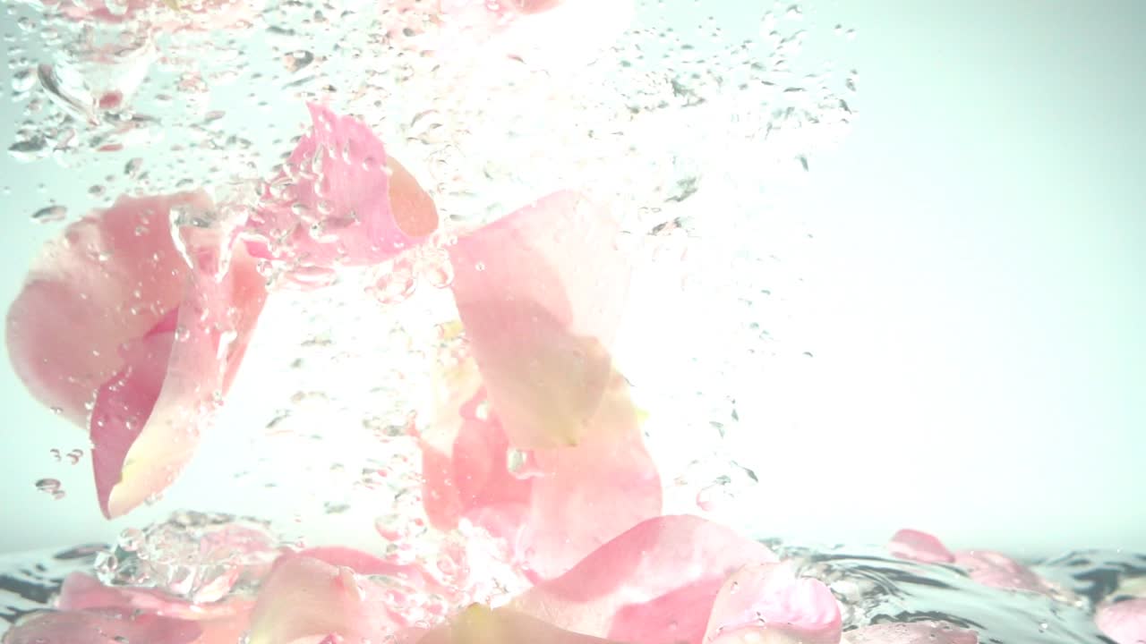 Petali di rose cadono nell'acqua. Sfondo. Movimento rallentato.