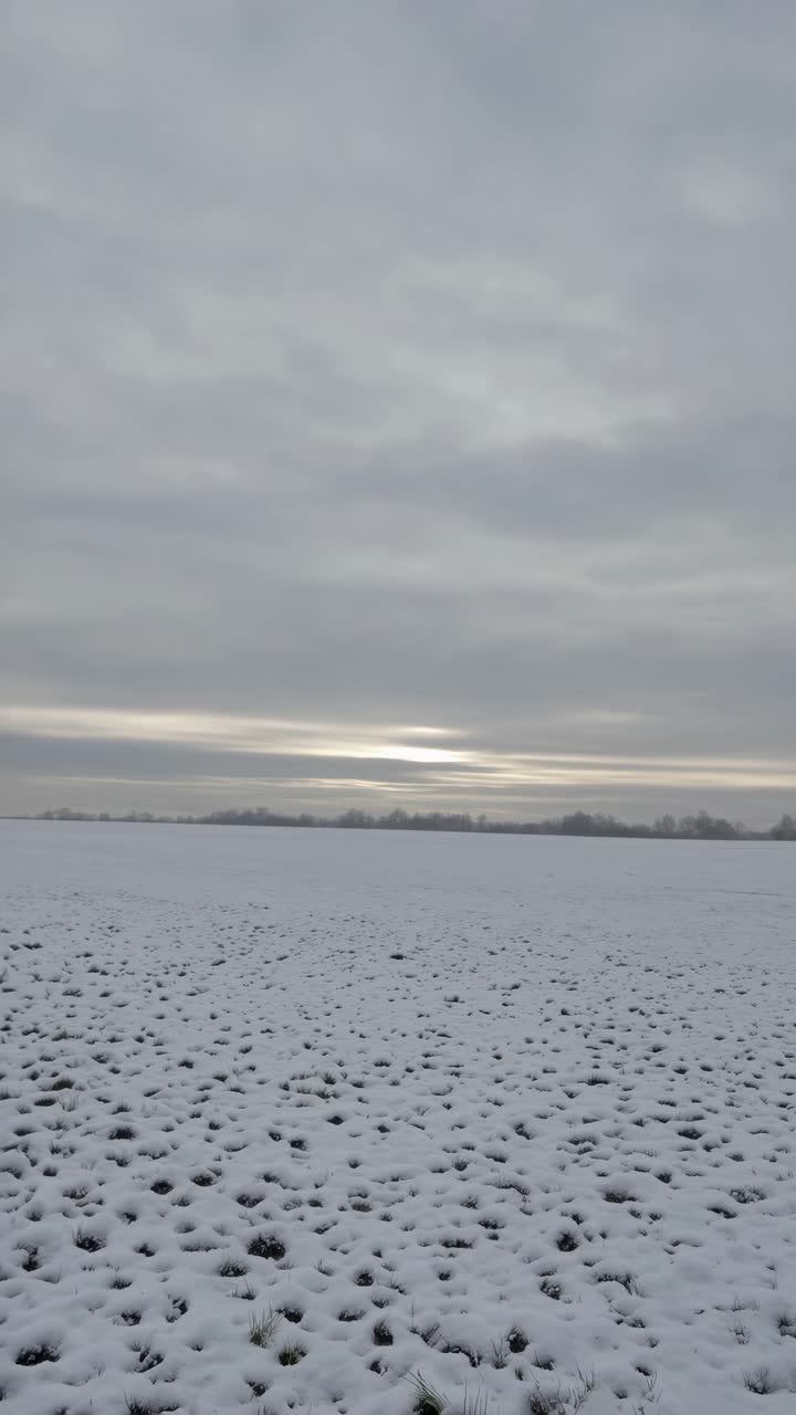 A serene winter landscape with a snow-covered field under a cloudy sky