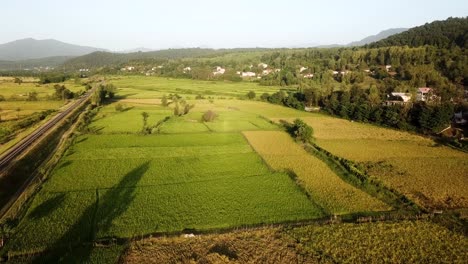 Arrozal-Plantación-Granja-Tierra-Campo-Escénico-Vista-Panorámica-Fondo-De-Montaña-En-El-Bosque-De-Hyrcanian-Campo-Natural-Pueblo-Rural-Gilan-Irán-Prado-Verde-Panorámico-Maravilloso-Tiro-Escénico-Ferrocarril-Tren