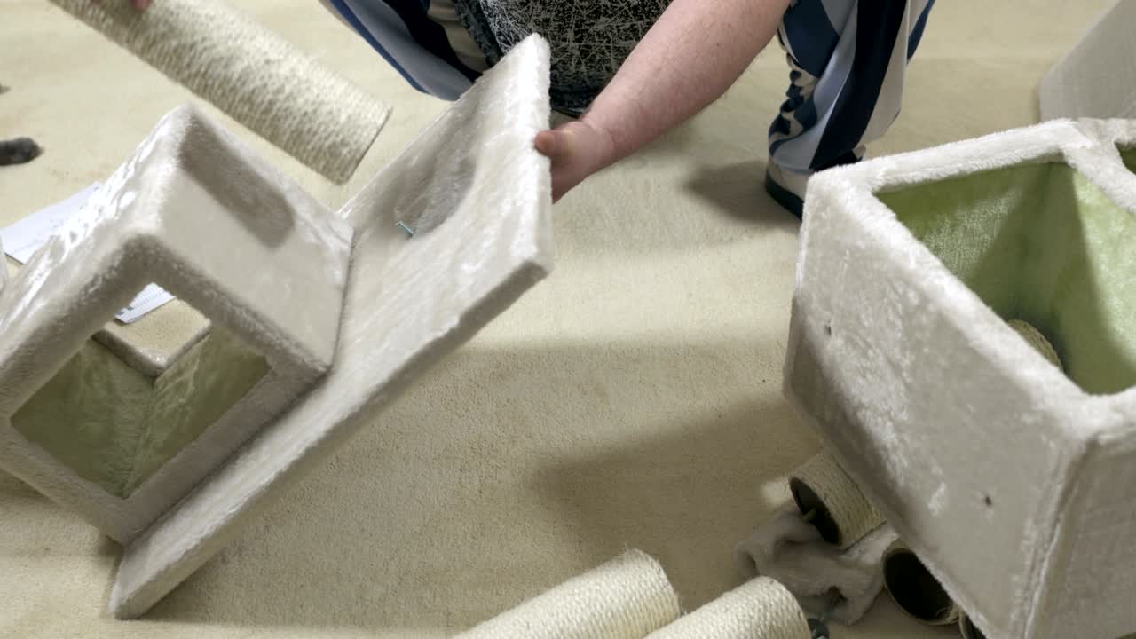 고양이 나무 집 콘도 어블리