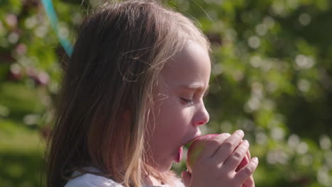 niña tomando un bocado de una manzana recién recogida y sonriendo a la cámara en un soleado día de otoño en el huerto
