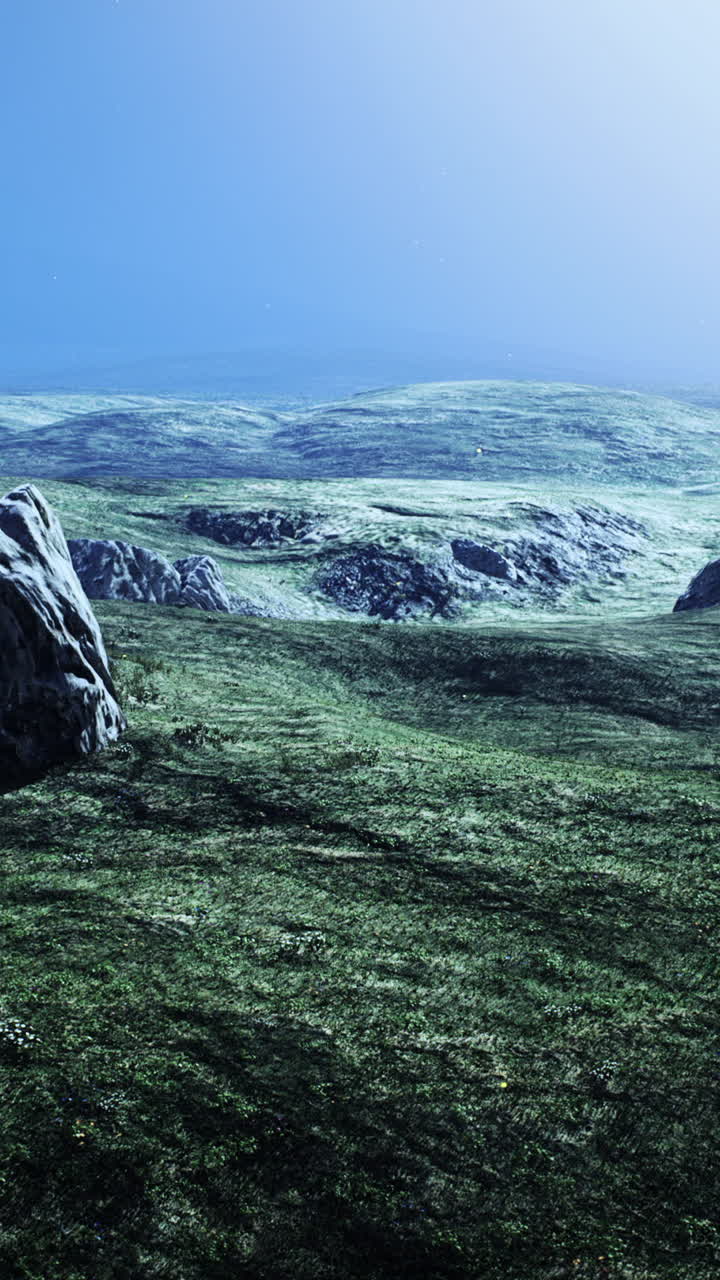 paisaje nocturno sereno: pastizales bajo un cielo estrellado