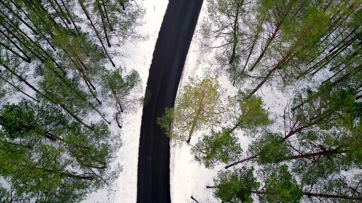 Winter aerial view of a snowy forest with a winding road, tall green pine trees, and a blue sky