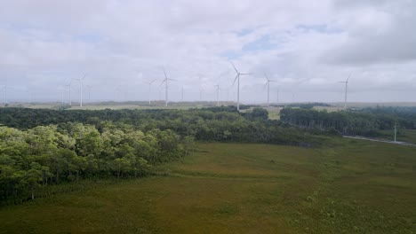 Rising-aerial-shot-of-renewable-energy-wind-farm-with-green-forest-trees-in-Tasmania,-Australia