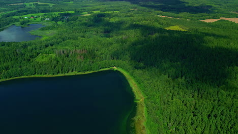 Aerial-drone-fly-above-blue-lake-bay-with-vivid-green-pine-tree-forest-at-delta-river-coastline,-establishing-shot-with-clouds-shape-above-leaves