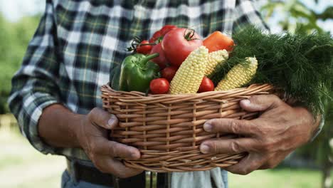 vídeo en primer plano de una canasta llena de verduras frescas
