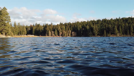 Golden-Splendor:-Duffy-Lake-Amidst-the-Pines