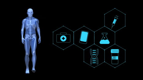 animación del cuerpo humano e iconos médicos sobre fondo negro