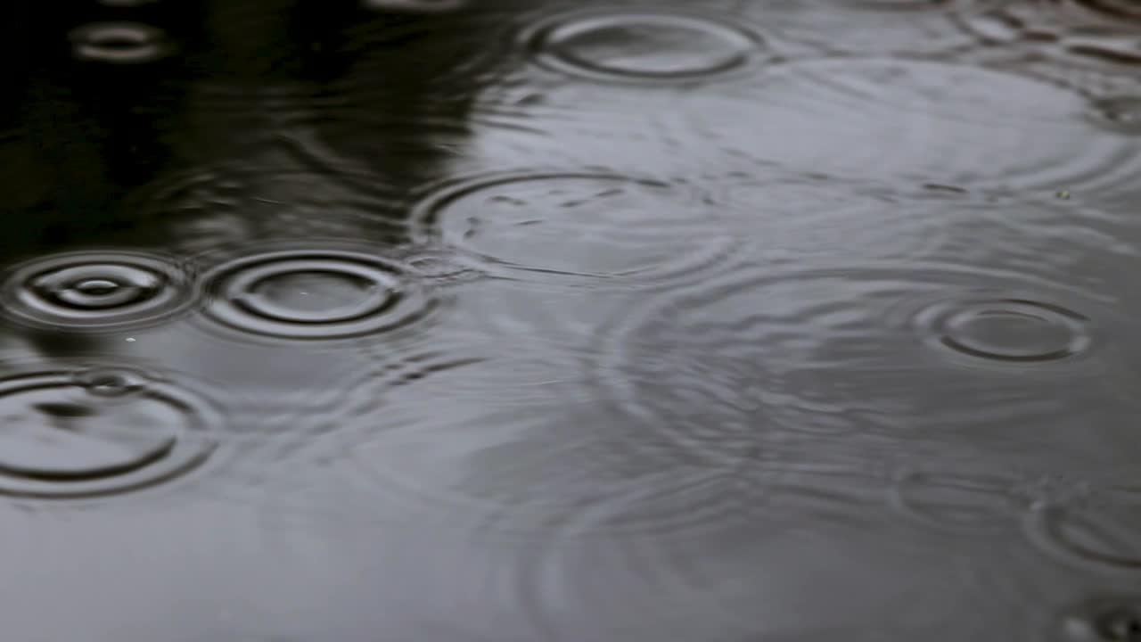 todavía disparo de gotas de lluvia cayendo en un estanque de agua