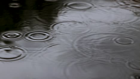 Still-shot-of-rain-drops-falling-in-a-pool-of-water