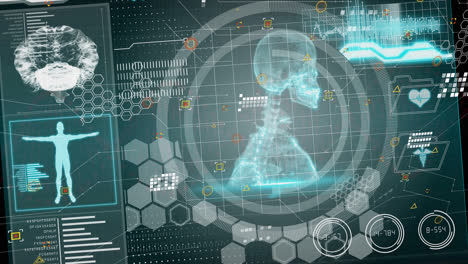 Animación-Del-Procesamiento-De-Datos-Sobre-El-Esqueleto