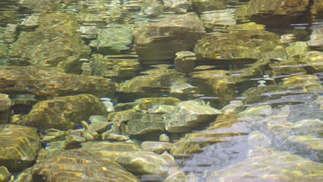 a small stream, clear river water