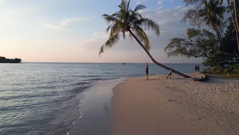 Girl-doing-yoga-under-coconut-palm-to-sunset-on-dream-beach