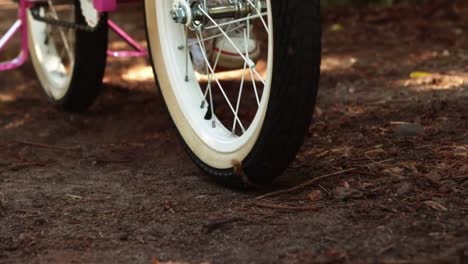 Mädchen-Fährt-Fahrrad-Im-Park