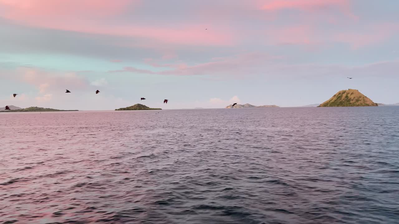 인도네시아 칼롱 섬을 향해 바다를 날고 있는 날아다니는 여우들