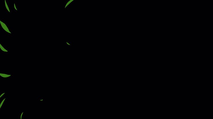 dibujos animados hojas y flores 21