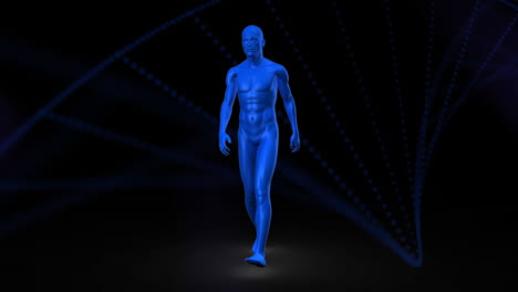 digital animation of 3d human male model walking against dna structure spinning on black background