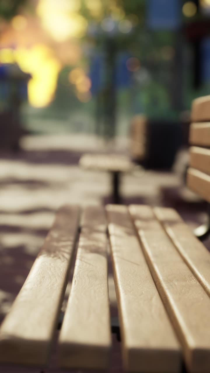 un banco pacífico en el parque de la ciudad