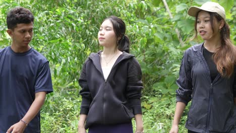 group of young adults walking in a forest