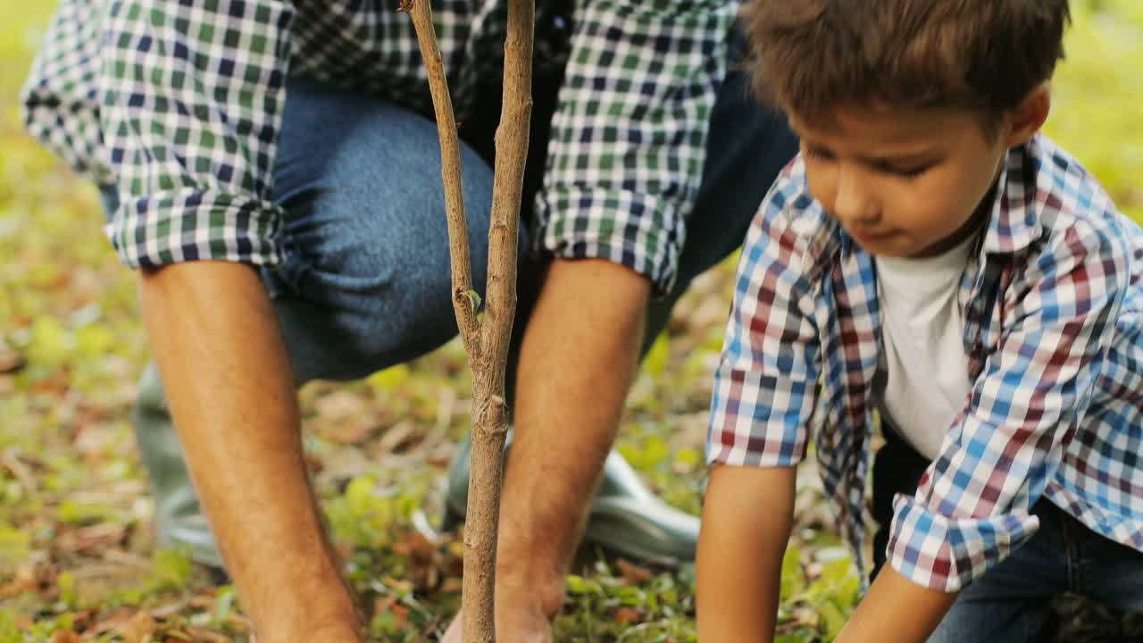 Close up. Portrait of a little boy and his dad planting a tree. The boy kneels by the tree. They press the soil with their hands. Camers moves up from hands to the boy's face. Blurred background