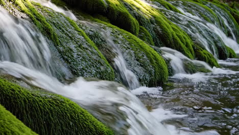 moss covered waterfall stream