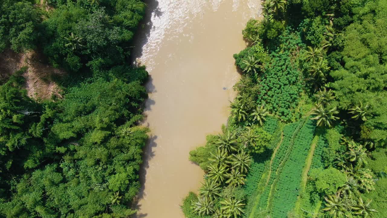 Top view on Progo river and lush tropical vegetation on Java, Indonesia ...